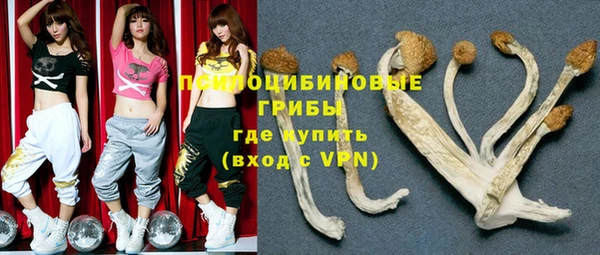 каннабис Новодвинск