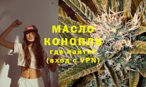 шишки Няндома