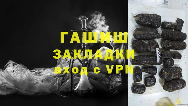 шишки Няндома