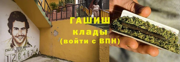 шишки Няндома