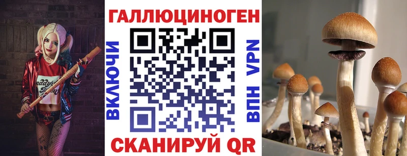 Галлюциногенные грибы Psilocybine cubensis  Кадников 